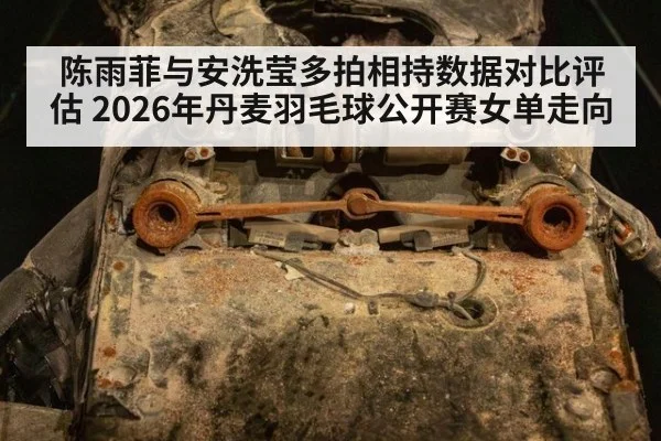 陈雨菲与安洗莹多拍相持数据对比评估 2026年丹麦羽毛球公开赛女单走向