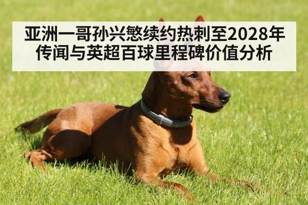 亚洲一哥孙兴慜续约热刺至2028年传闻与英超百球里程碑价值分析