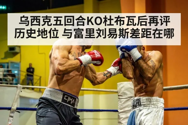 乌西克五回合KO杜布瓦后再评历史地位 与富里刘易斯差距在哪
